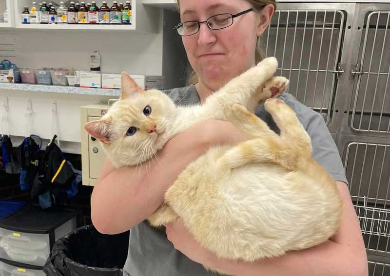 Carousel Slide 5: Meet our veterinary team