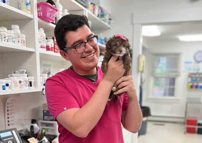 Carousel Slide 3: Puppy & Kitten Care